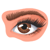 Dr. Arefa Patel 6 Eyebrow Restoration