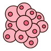 Dr. Arefa Patel 4 Stem Cell