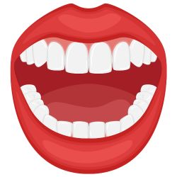 Dr. Saurabh Pakhale 3 Full Mouth Rehabilitation